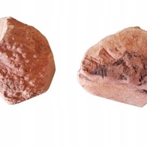 4DOGS Gryzak XXL z korzenia wrzośca - 1 zdjęcie