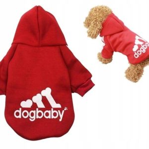 Adidog Bluza Dres York Szpic Mały Maltańczyk M Czw - 1 zdjęcie