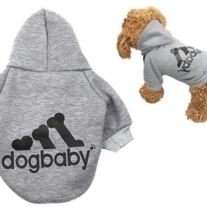 Adidog Bluza Dres York Szpic Mały Maltańczyk M Sza - 1 zdjęcie