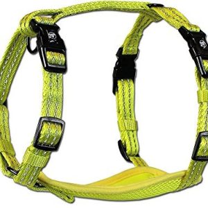 Alcott Essentials Abenteuer naczynia, czarny, s, żółty neonowy - 1 zdjęcie