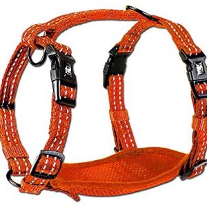 Alcott Essentials Neon Abenteuer naczynia, neonowy pomarańczowy, s, neonowy pomarańczowy - 1 zdjęcie