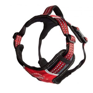 all for dogs ALL FOR DOGS Szelki 2x-Sport Czerwone M - 1 zdjęcie