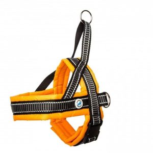 AllForDogs AllForDogs Klasyczne szelki norweskie Pomarańczowy M - 1 zdjęcie