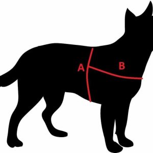 AllForDogs AllForDogs Klasyczne szelki norweskie Pomarańczowy S - 1 zdjęcie
