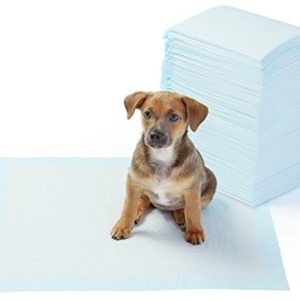 AmazonBasics Amazonbasics Podkłady Treningowe Dla Zwierząt, Standardowy Rozmiar, Zestaw 100 Sztuk - 1 zdjęcie
