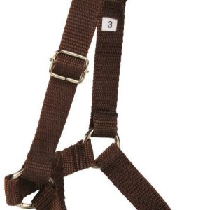 Ami Play Halter Basic 1439 - 1 zdjęcie