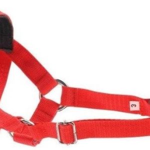 Ami Play Halter Basic N3 Cocker Spaniel 2 cm Czerwony - 1 zdjęcie