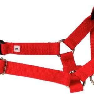 Ami Play Halter Basic XL N5 Rotweiller 24-45 [a] x 50-65 [b] x 2 cm czerwony - 1 zdjęcie