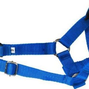 Ami Play Halter Basic XL N5 Rotweiller 24-45 [a] x 50-65 [b] x 2 cm Niebieski 5907563209909 - 1 zdjęcie