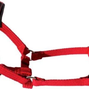 Ami Play Halter Cotton S Foxterrier 13-26 [a] x 25-41 [b] x 1,5 cm Czerwony 5907563231443 - 1 zdjęcie