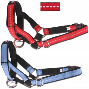 AmiPlay Reflec halter Odblask Czerwony XL 24-45/2 - 1 zdjęcie