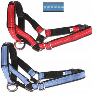 AmiPlay Reflec halter Odblask Niebieski L 20-37/2 - 1 zdjęcie