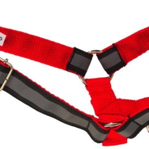 AmiPlay Shine Halter Odblask Czerwona XXL 26-50/2 - 1 zdjęcie