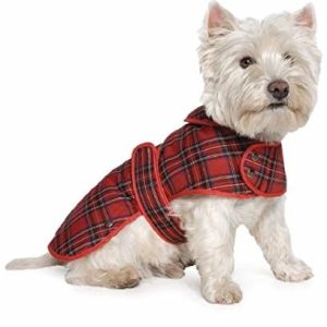 Ancol błotniste Paws Highland Tartan sierść Czerwony, l - 1 zdjęcie