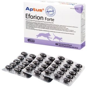 Aptus Orion Pharma Eforion Forte 45 kaps. na zdrową skórę i piękną sierść - 1 zdjęcie