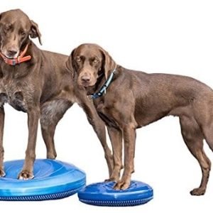 Ball Dynamics krążek ball Dynamics fpawsbd 22 fitpaws Balance mierniki z  DVD, 56 cm, niebieski - 1 zdjęcie
