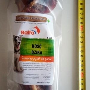 Balto Kość Dzika 1szt. - 1 zdjęcie
