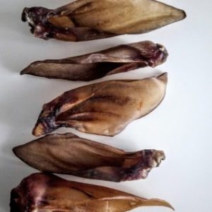 Balto Ucho Sarny 1szt. LUZ - 1 zdjęcie