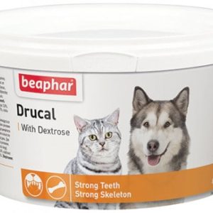 Beap DRUCAL - 1 zdjęcie