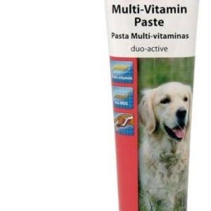 Beaphar Multi-Vitamin Paste Dog duo-active 100g - pasta multiwitaminowa dla psów 100g - 1 zdjęcie