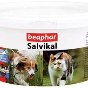 Beaphar Salvikal - preparat mineralno-Preparat witaminowyowy z drożdżami 250g 13477 - 1 zdjęcie
