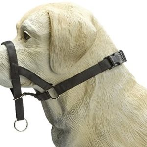 Beeztees beez herbat 765390 psy uzda "Dog Control", rozmiar XXL (6), 54 cm, w kolorze czarnym - 1 zdjęcie