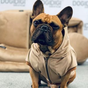 Bluza ubranko dla Psa Velvet bez Kaptura M - 1 zdjęcie