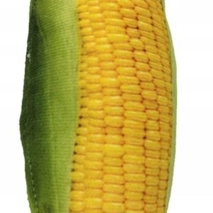 Brokuł maskotka pluszowa dla psa piszcząca 17cm - 1 zdjęcie