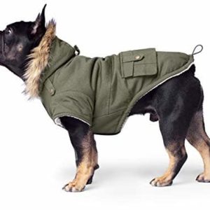 Canada Pooch Canada Pooch psy parka CP00984 - 1 zdjęcie