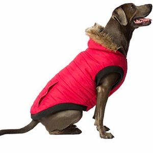 Canada Pooch Kanada Pooch Parka  Cp00266 North Pole Parka Red Rozmiar 22 - 1 zdjęcie