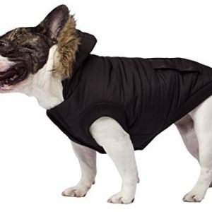 Canada Pooch Kanada Pooch Parka  North Pole, czarna, rozm. 10 - 1 zdjęcie