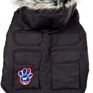Canada Pooch Kanada pooch T10 kurtka dla psów Explorer  kolory do wyboru, czarny - 1 zdjęcie