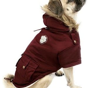 Canada Pooch Kanada stróżujący, armii parka, kasztanowobrązowy CP00976 - 1 zdjęcie