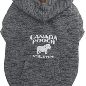 Canada Pooch Płaszcz Kanadzie stróżujący, Cozy Karibu bluza z kapturem marled psy, rozmiar 8, szary, 12 - 1 zdjęcie