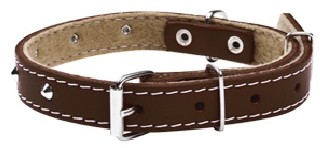Chaba Obroża skórzana ćwiekowana kolor brązowy 16mm 45cm - 1 zdjęcie