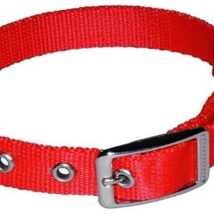 Chaba Obroża taśma czerwona 16mm/45cm PCHB954 - 1 zdjęcie