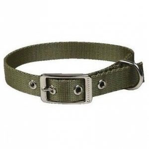 Chaba Obroża taśma khaki 25mm/55cm PCHB964 - 1 zdjęcie