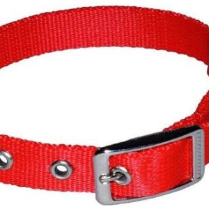 Chaba Obroża taśma LUX 20mm/45cm kolor czerwony - 1 zdjęcie
