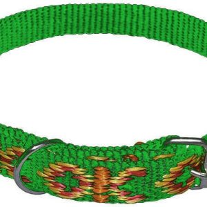 Chaba Obroża taśmowa ozdobna kolor zielony 25mm 70cm - 1 zdjęcie