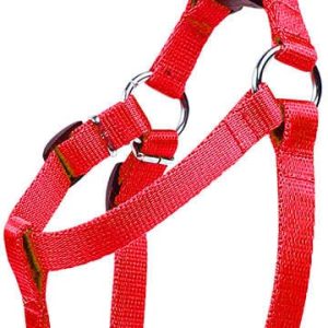 Chaba Szelki taśmowe regulowane kolor czerwony obwód 100cm - 1 zdjęcie