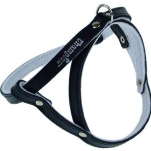 Champion Szelki 40 czarne [SD] 13382 - 1 zdjęcie