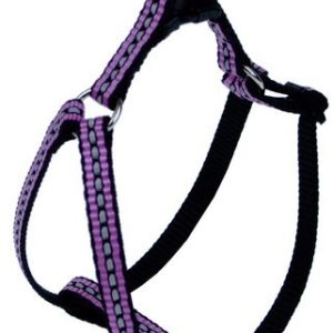Champion Szelki Taśma Lux odblaskowa 40 fioletowa [TSZLO] 13357 - 1 zdjęcie