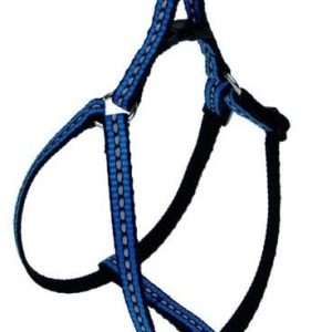 Champion Szelki Taśma Lux odblaskowa 40 niebieska [TSZLO (Bł)] 13358 - 1 zdjęcie