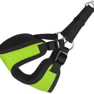 Chico Chico Szelki regulowane Comfort 4 max.70cm zielone - 1 zdjęcie