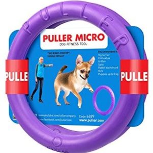 COLLAR Collar B. Puller Micro Inter aktywnego zabawka dla dzieci składa się z 2 pierścienie do psy Fioletowy o średnicy 13 cm - 1 zdjęcie
