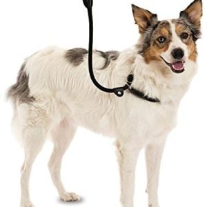 Company of Animals clb1 Clix 3 in 1 Slip Lead, brązowy, mały 1.2 m - 1 zdjęcie