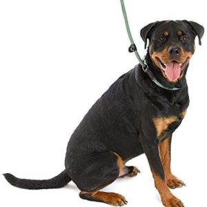 Company of Animals clg2 Clix 3 in 1 Slip Lead, zielony, dużym 1.7 m - 1 zdjęcie