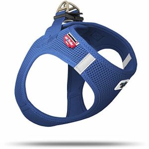 Curli Naczynia  Vest Air-Mesh niebieskie VA-BL od mylittledog, XS - 1 zdjęcie