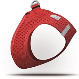 Curli Vest Air Mesh Red, XS, czerwony VA-RE-XS - 1 zdjęcie