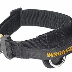 Dingo Gear Cobra obroża z uchwytem z taśmą polipropylenową, czarna - 1 zdjęcie